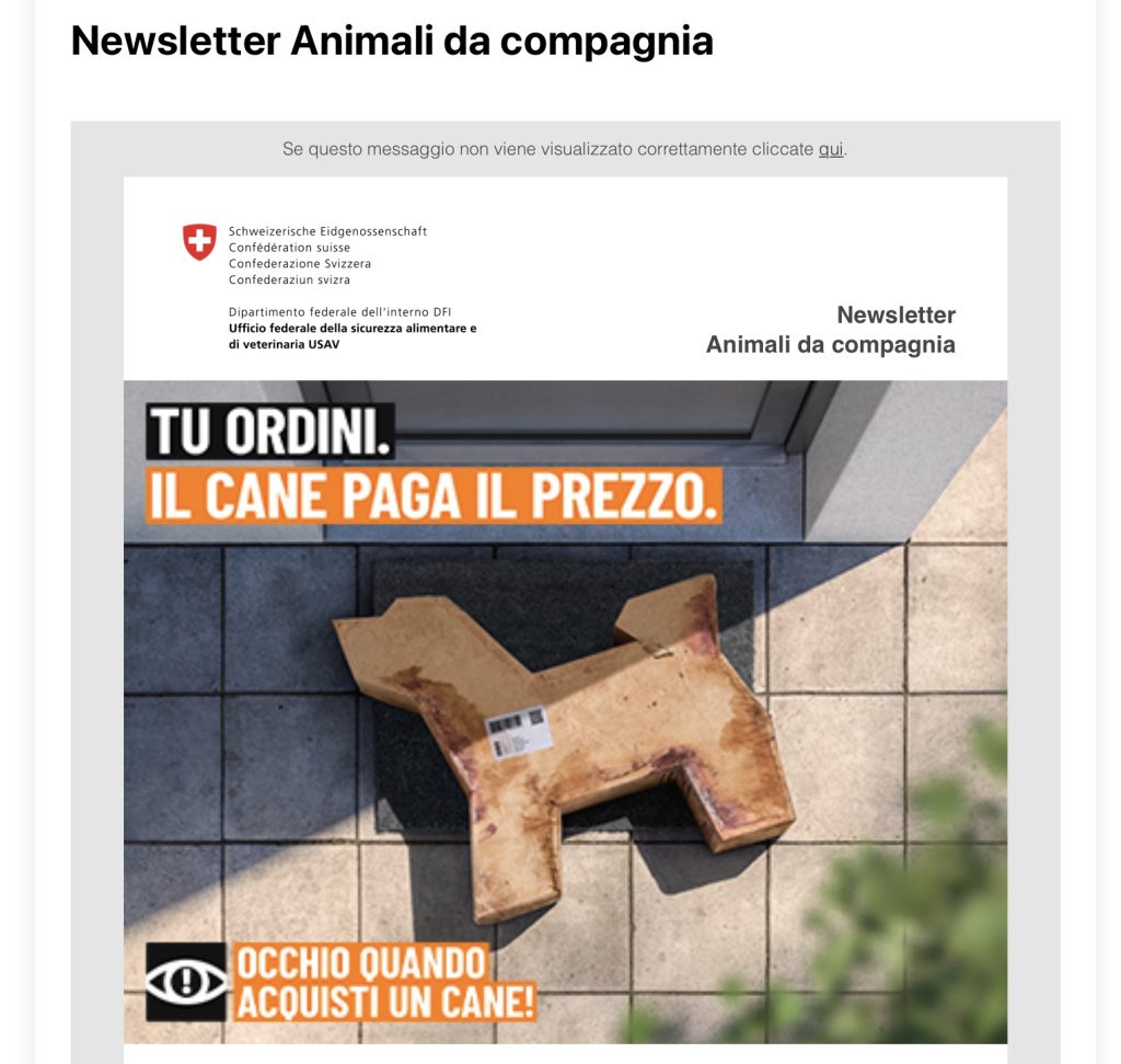 USAV Tu ordini. Il cane paga il prezzo