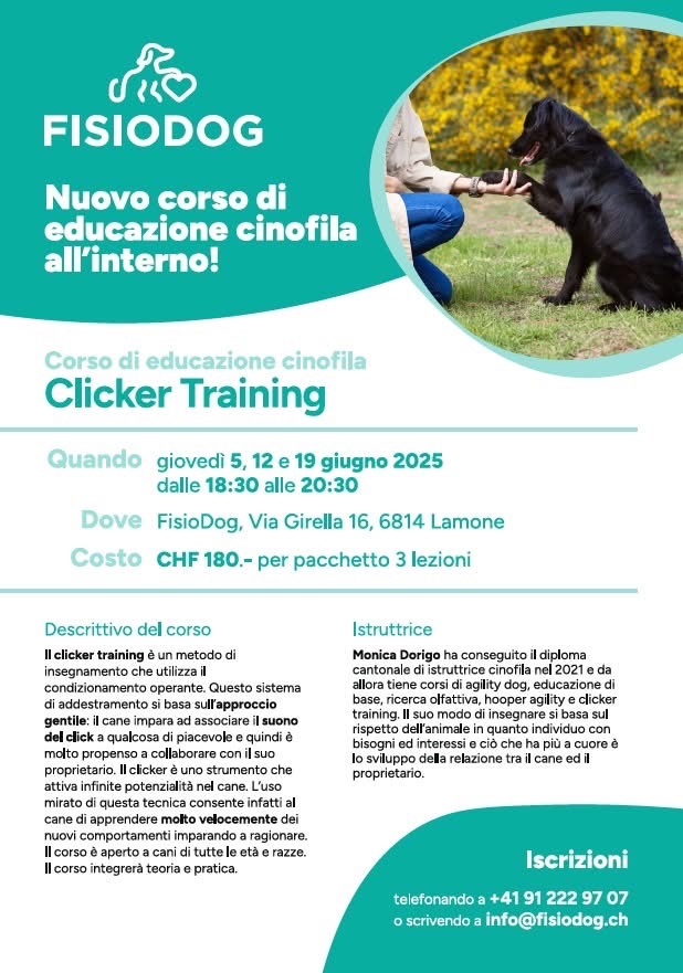 Clicker Training FisioDog