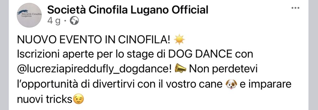 dog dance SCL