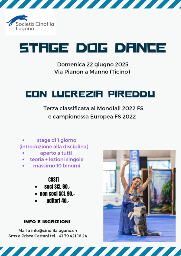 dog dance SCL