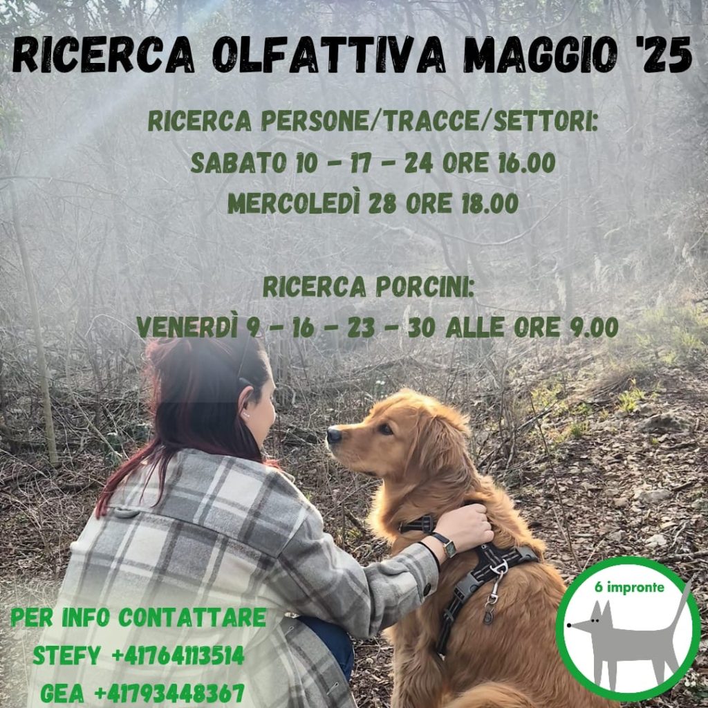 Ricerca olfattiva 6IMPRONTE