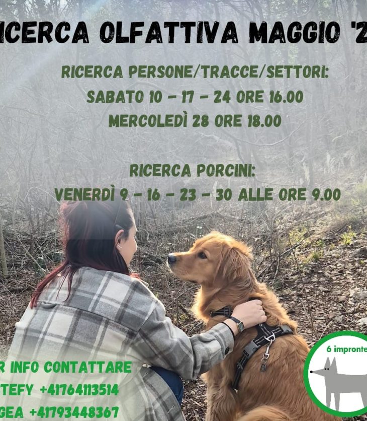 Ricerca olfattiva 6IMPRONTE