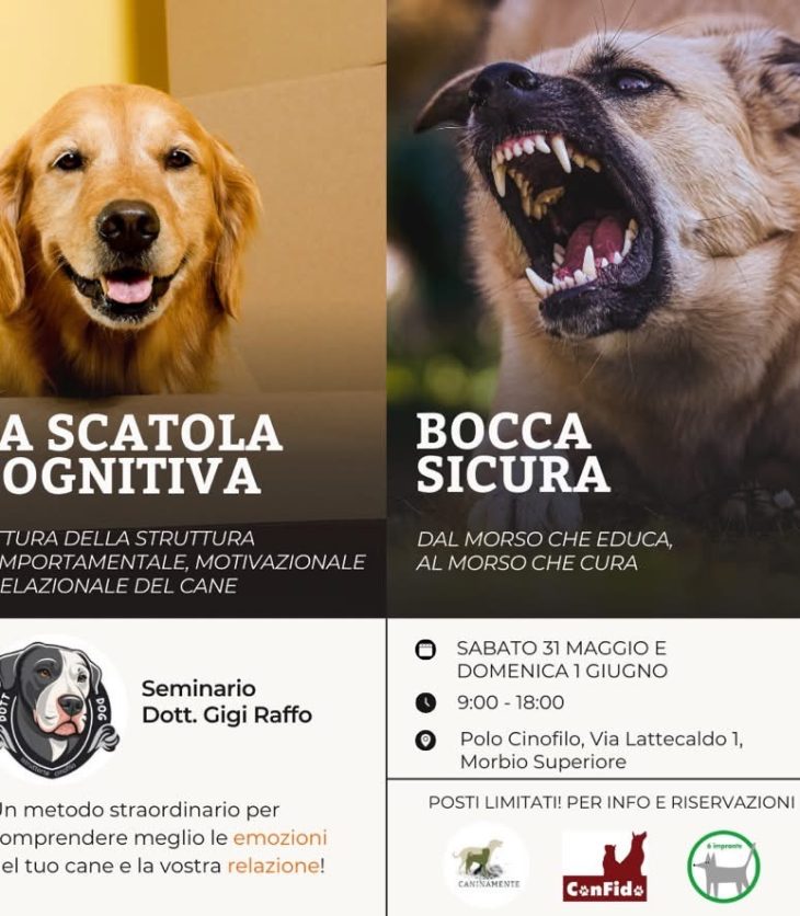Evento Caninamente ConFido 6impronte