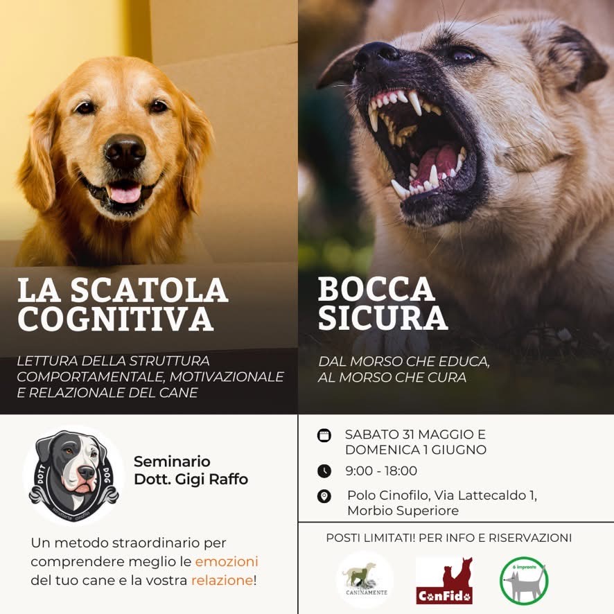 Evento Caninamente ConFido 6impronte