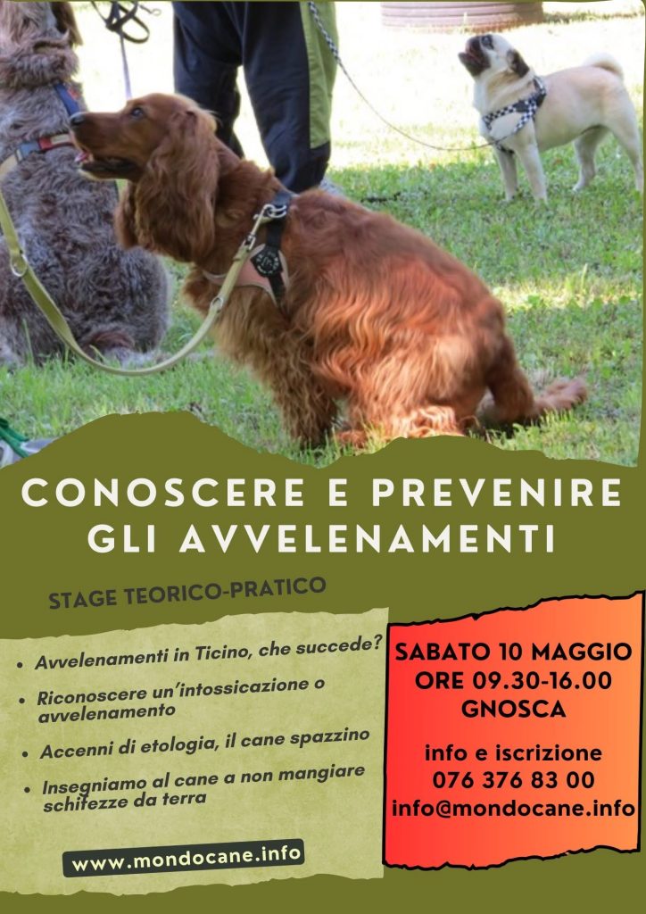 Conoscere e prevenire gli avvelenamenti Mondocane