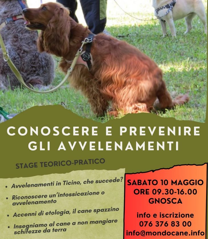 Conoscere e prevenire gli avvelenamenti Mondocane