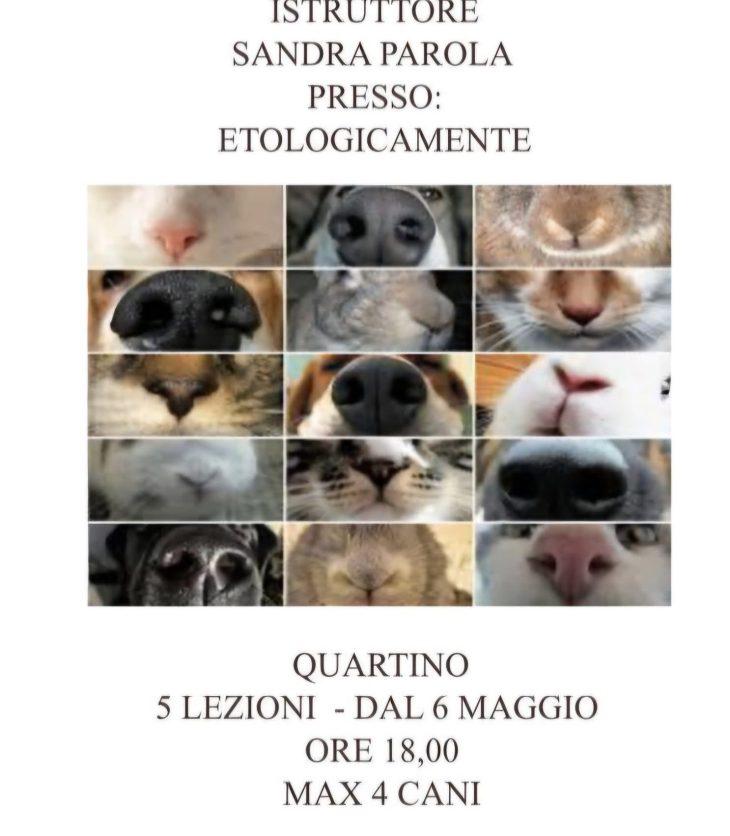 Etologicamente riporto e ricerca oggetti