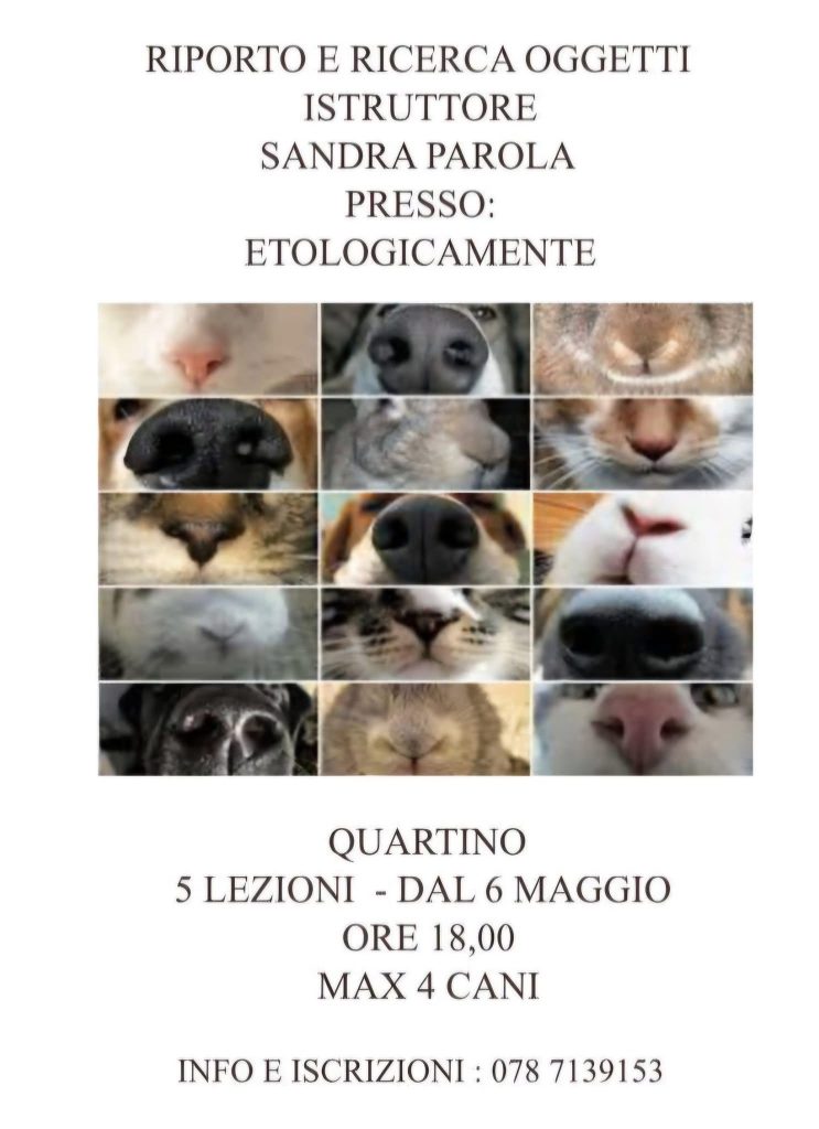Etologicamente riporto e ricerca oggetti