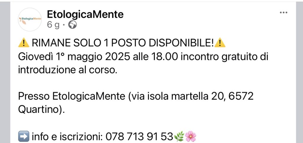 Etologicamente riporto e ricerca oggetti