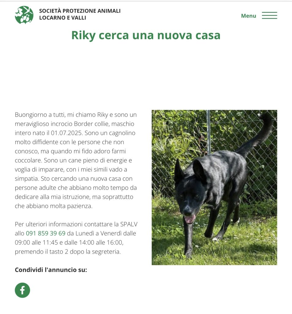 ricky cerca casa SPALV