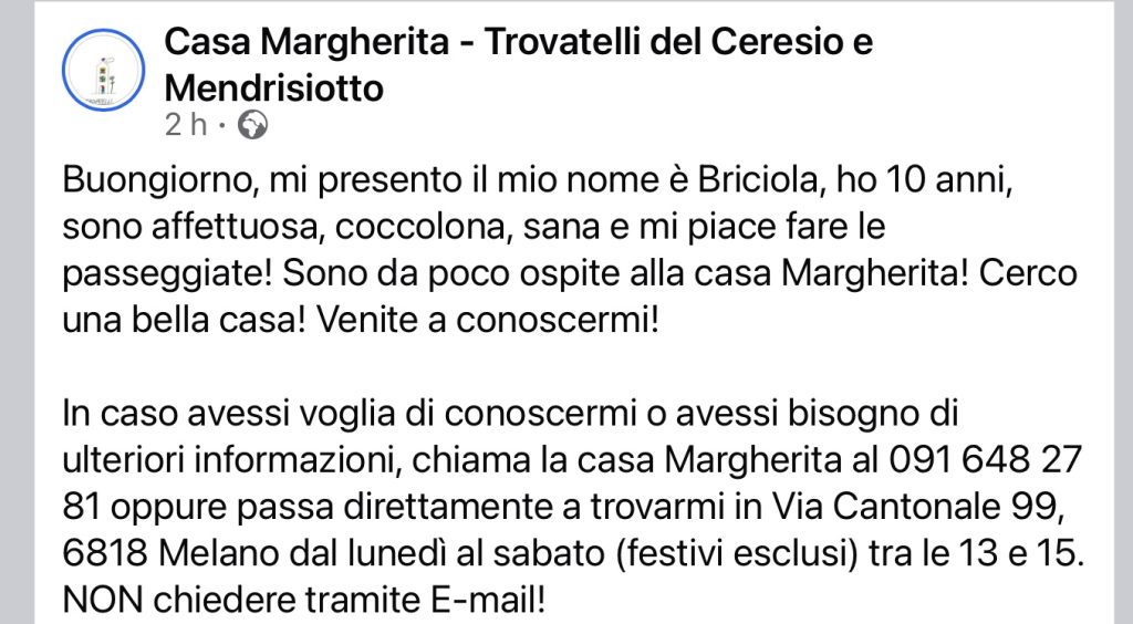Briciola Cassa Margherita