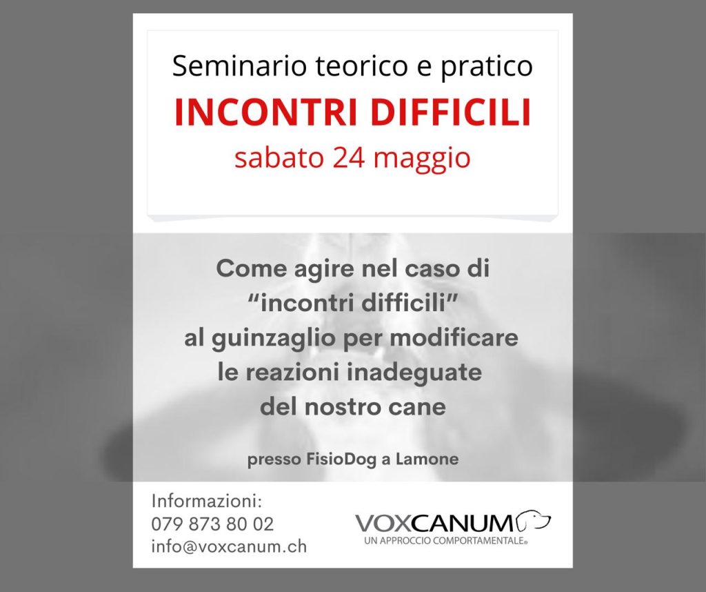 INCONTRI DIFFICILI VOXCANUM