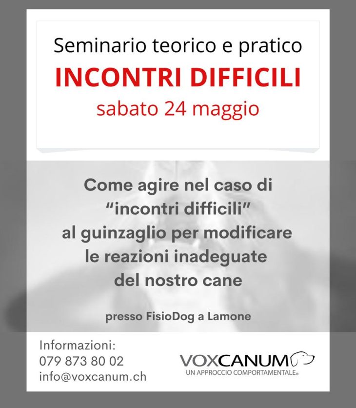 INCONTRI DIFFICILI VOXCANUM