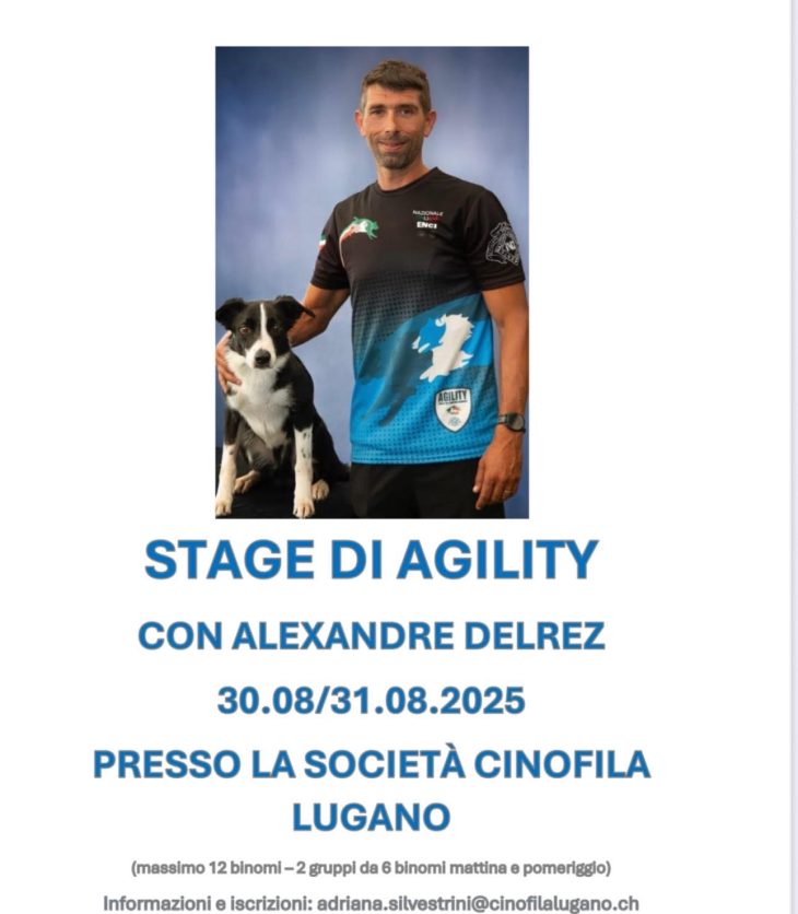 Stage agility SCL