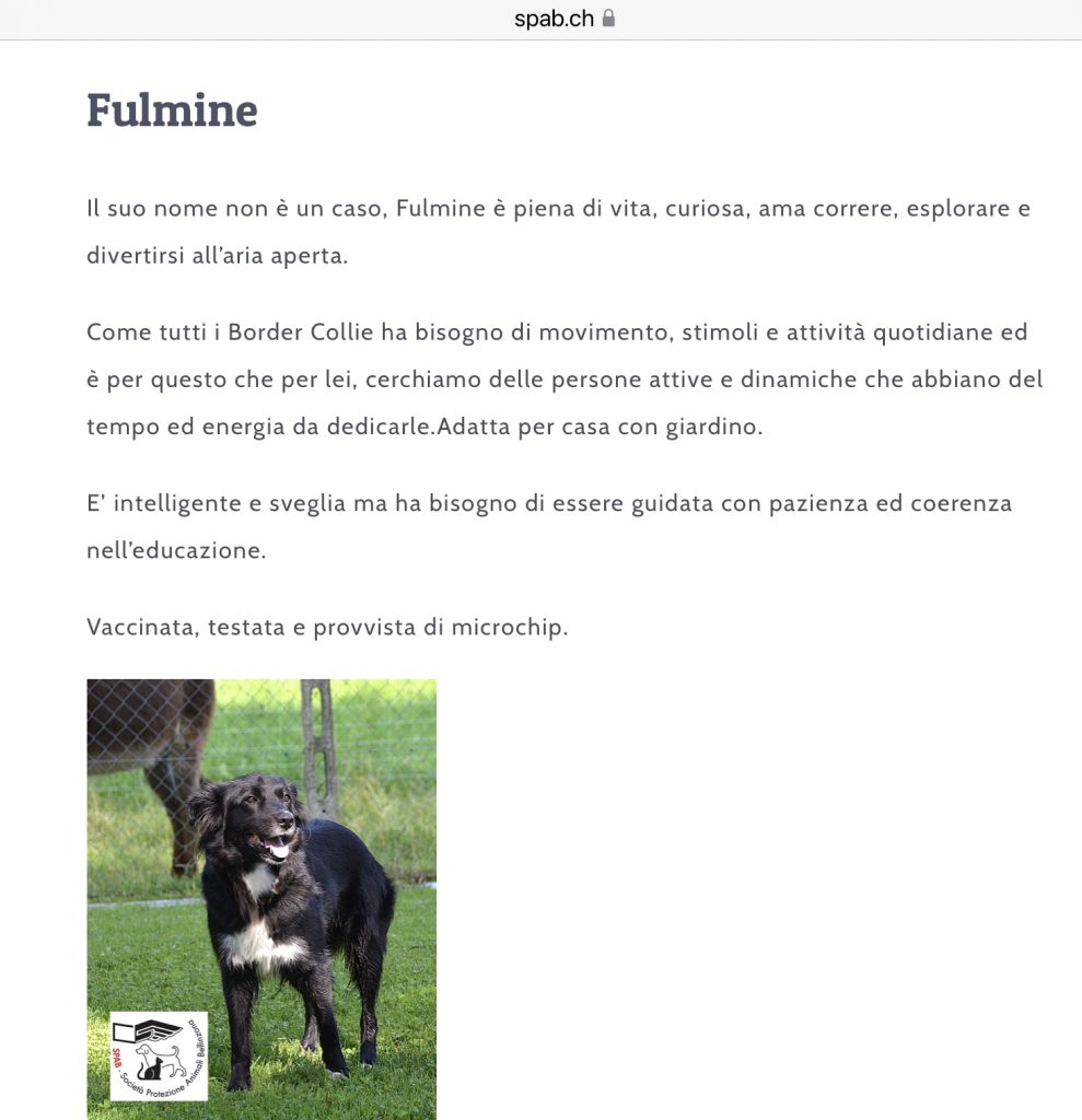 Fulmine cerca casa SPAB