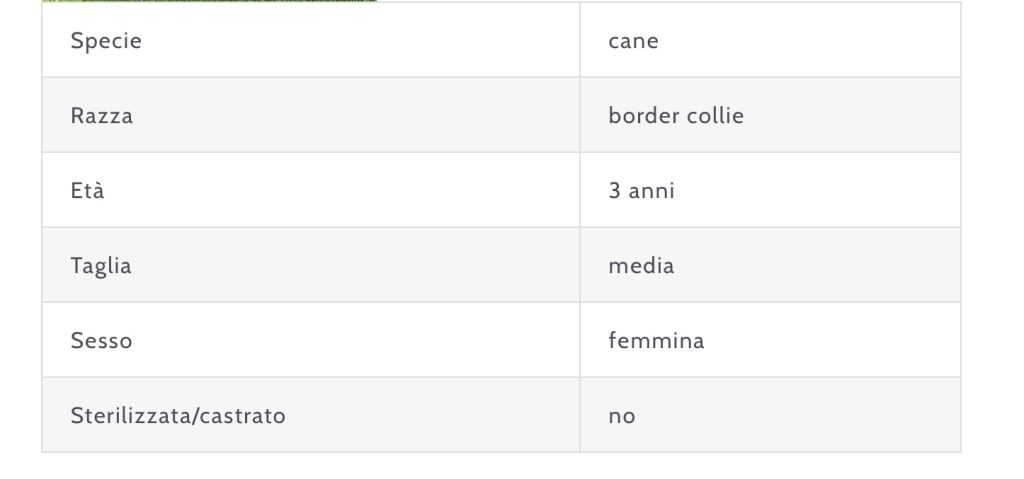 Fulmine cerca casa SPAB