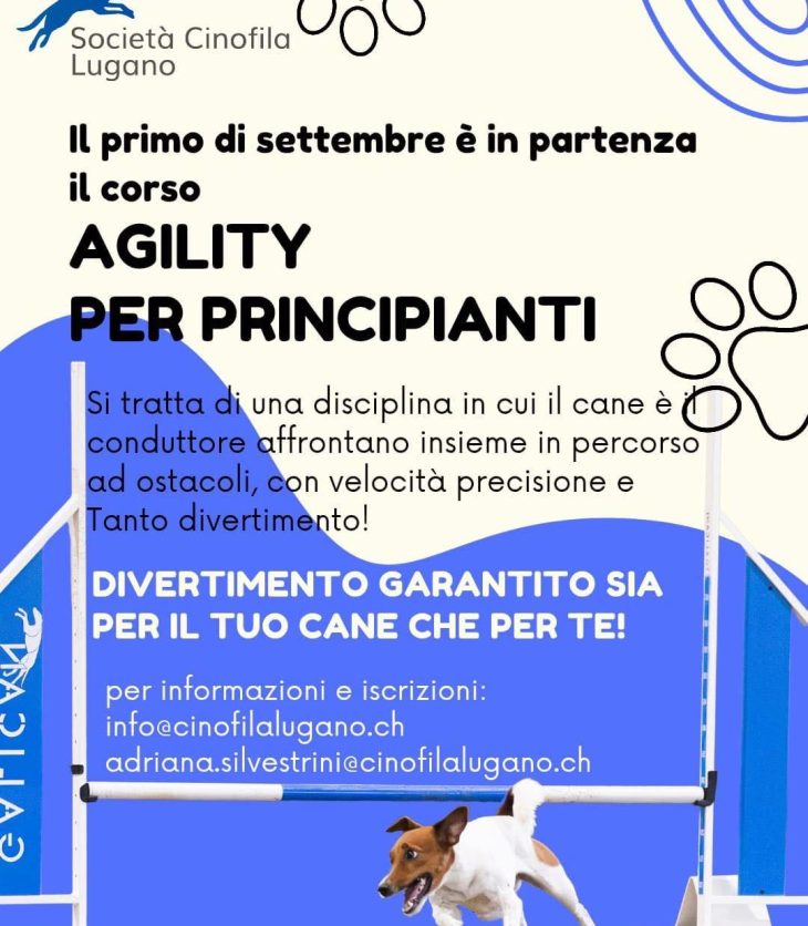 Corso agility principianti SCL