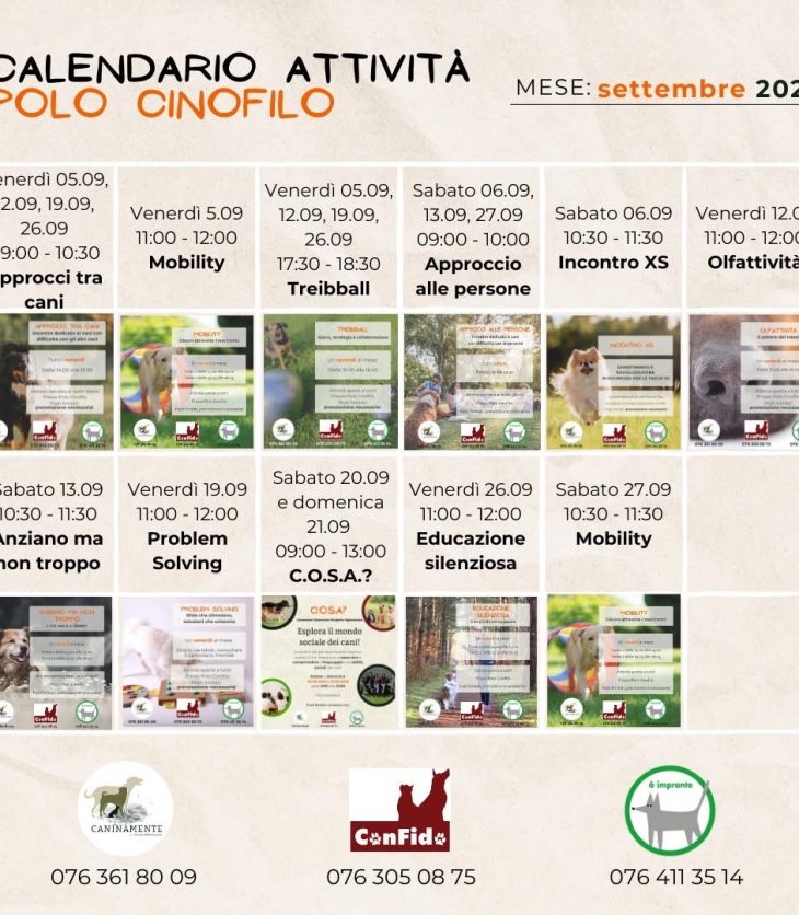 Attività settembre 2025